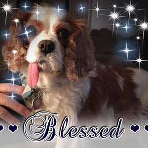 Meet your Posher, Sherry